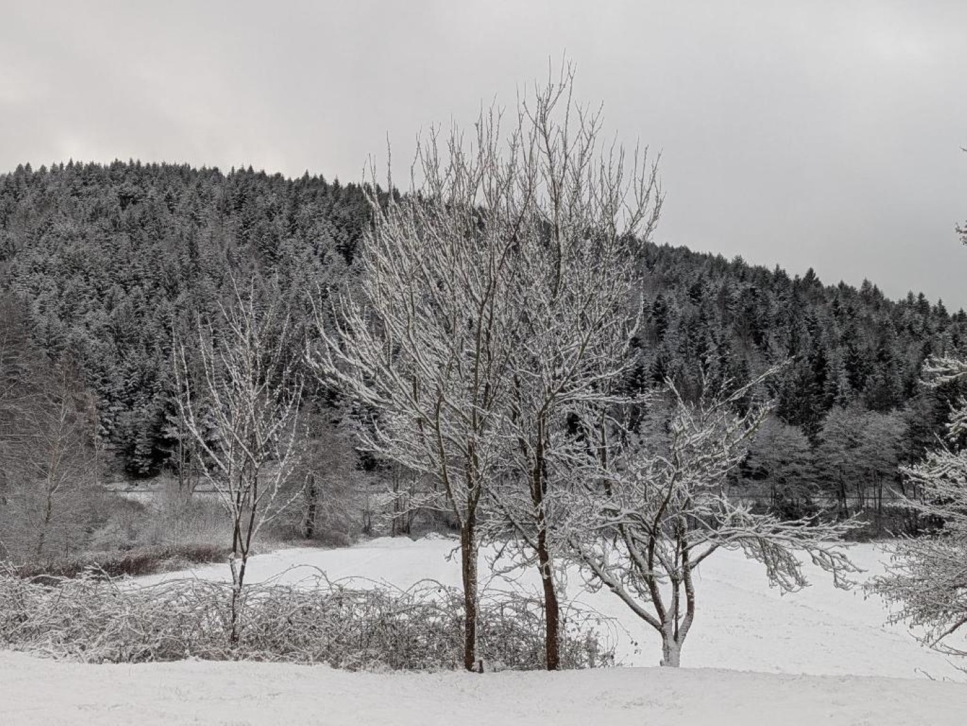 La prairie en hiver depuis la chambre familiale