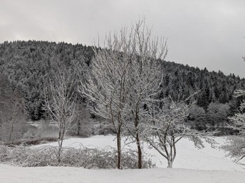 La prairie en hiver depuis la chambre familiale
