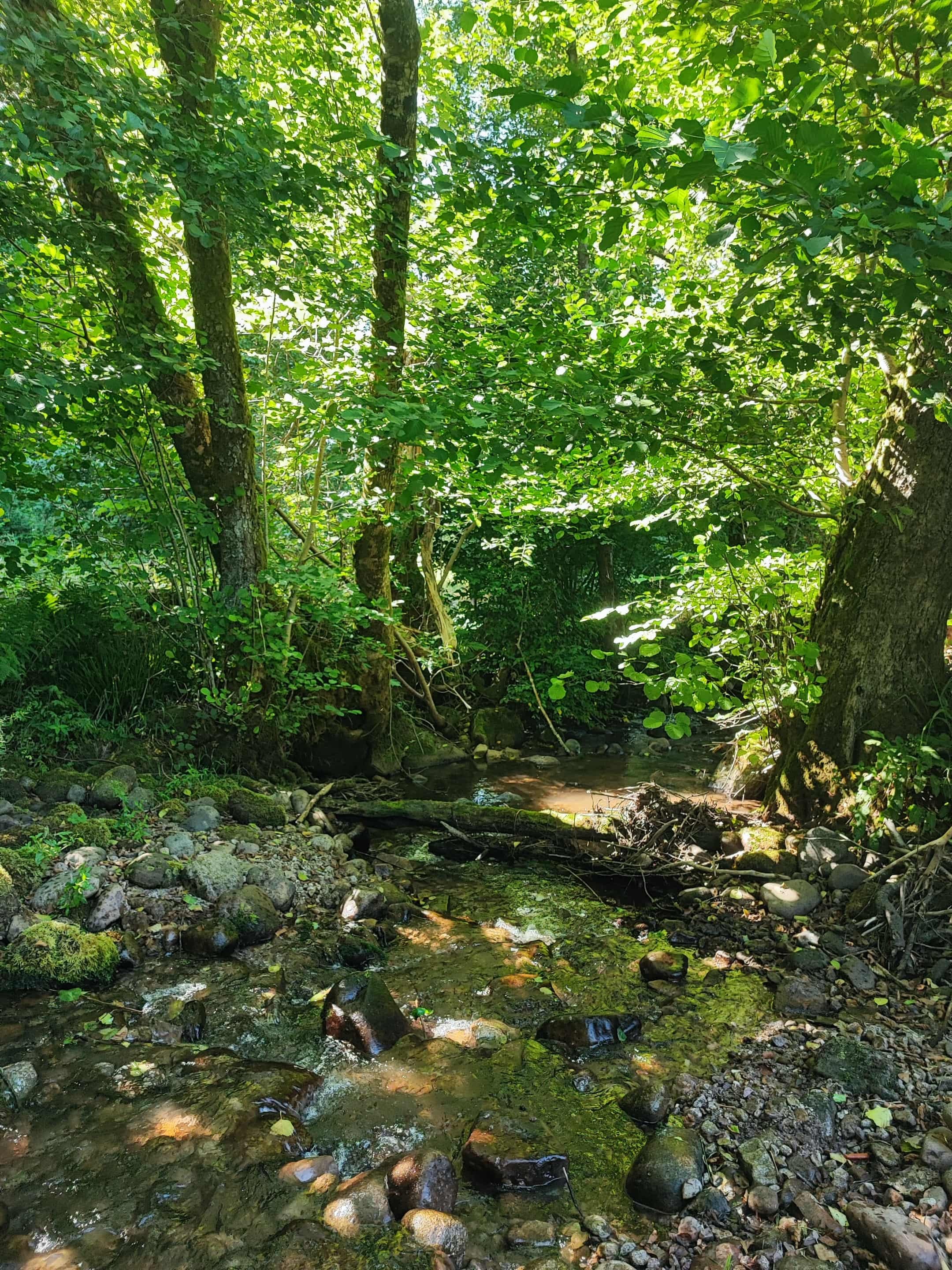Rivière Reherrey  au pied du jardin