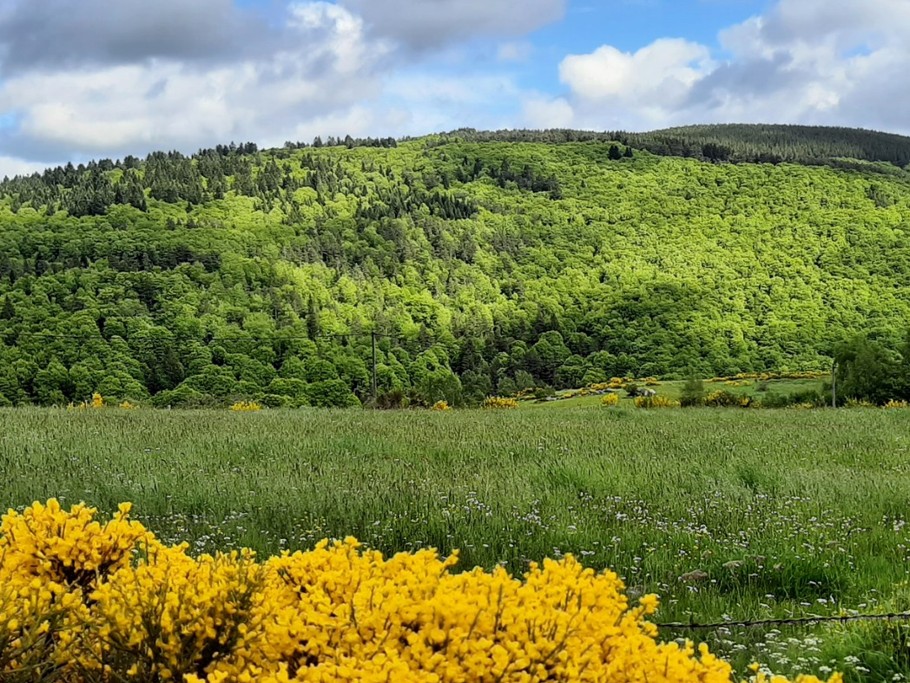 Bienvenue à la La Fontaine des Berges - 43170 La Besseyre St-Mary (Auvergne).