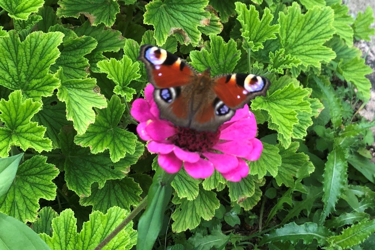 Photo n° 19 de la location