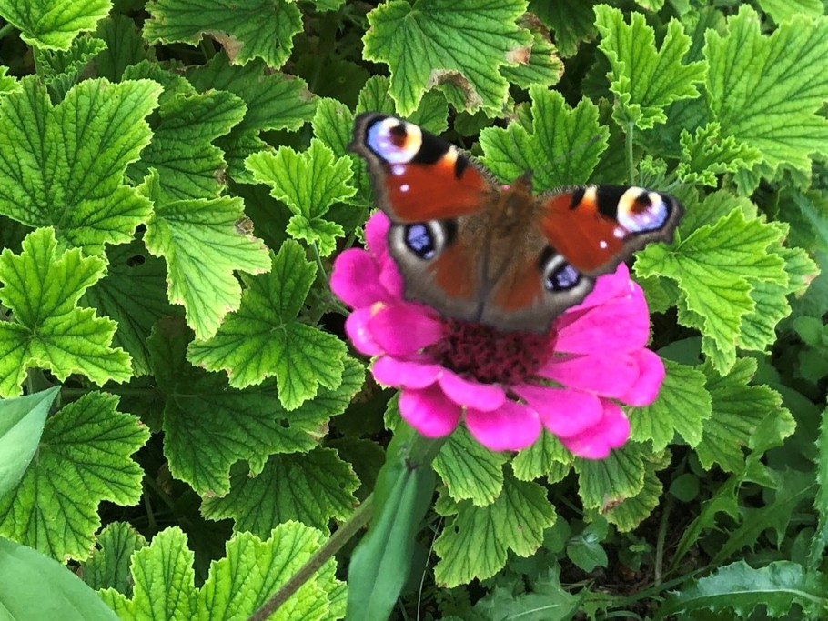 Photo n° 19 de la location