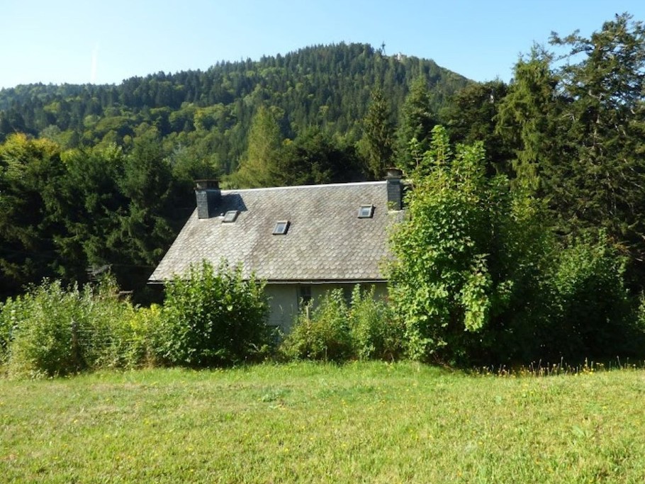 Photo n° 2 of the location