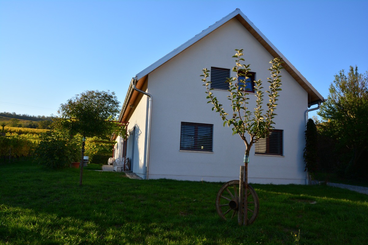 Photo n° 11 de la location