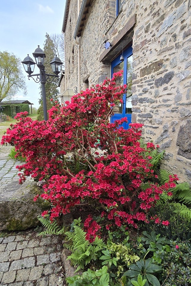 Façade de la bâtisse principale. Le domaine est fleuri en toute saison. Béatrice la propriétaire et ses mains vertes y veillent !