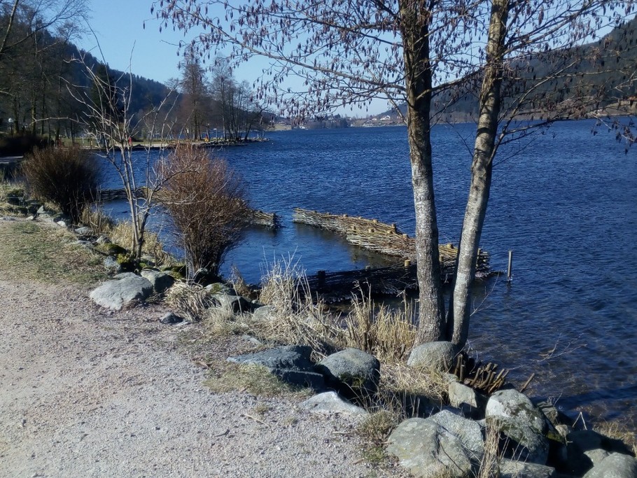 Always Lake Gérardmer!