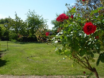 Jardin vue de la fenêtre du salon