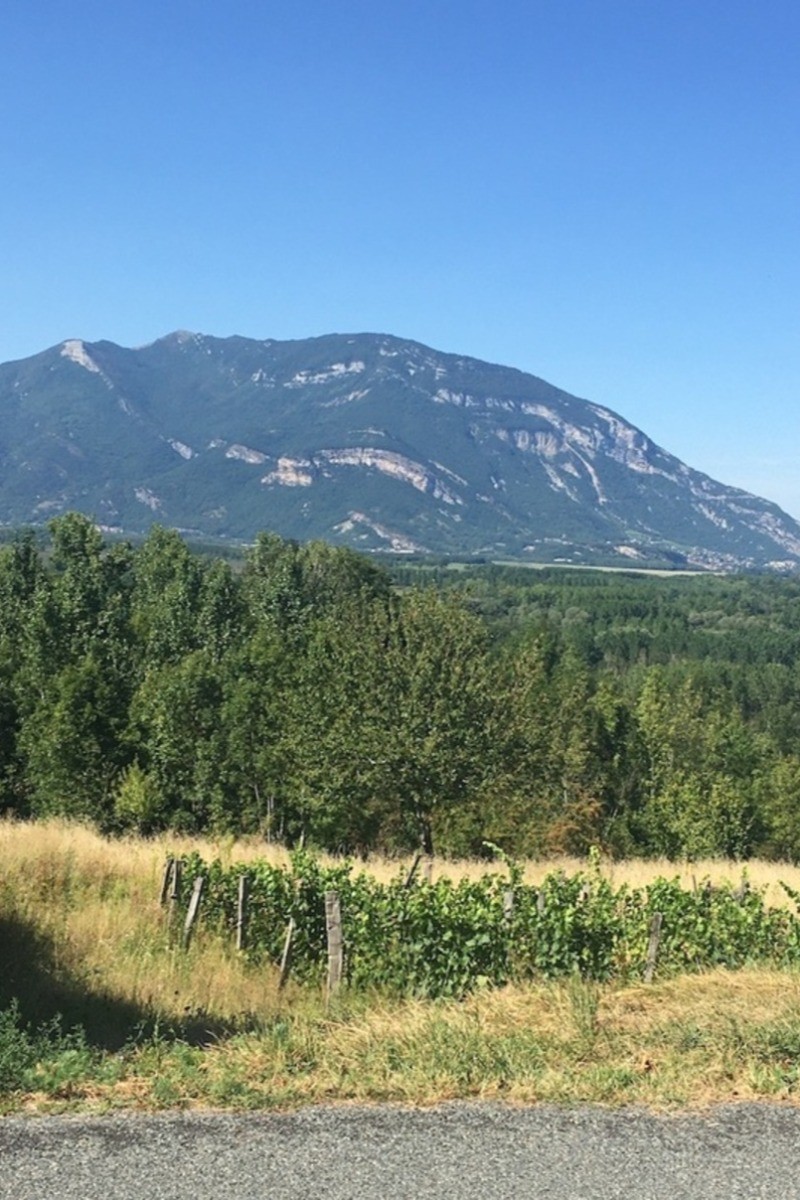 Le Grand Colombier