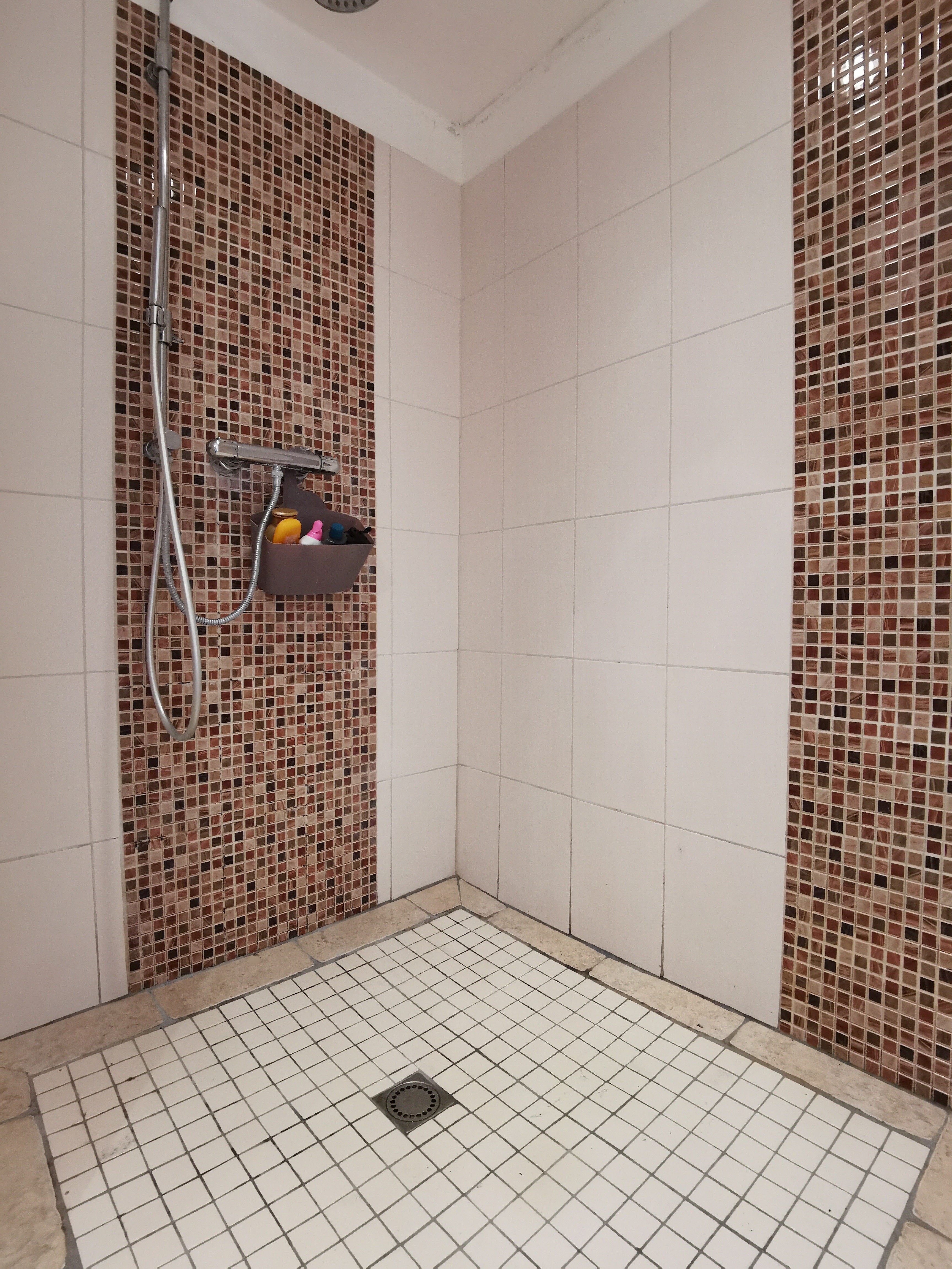 Douche de la salle d'eau