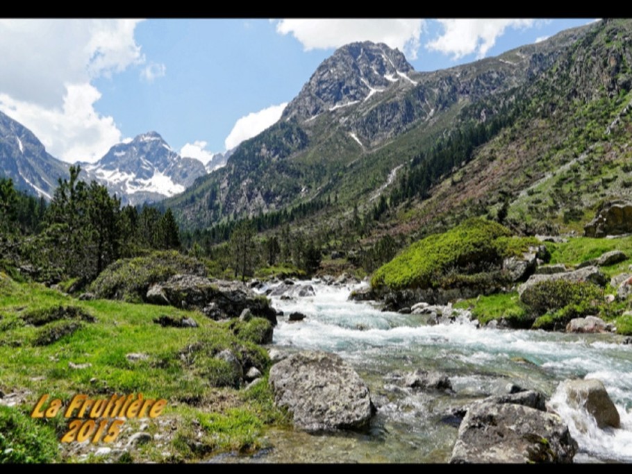 LA FRUITIERE : Belles cascades, végétation de pins et rhododendrons petit paradis