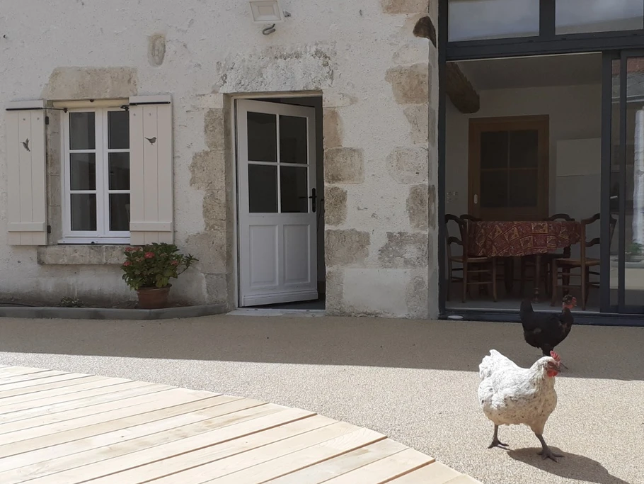 Photo n° 6 de la location