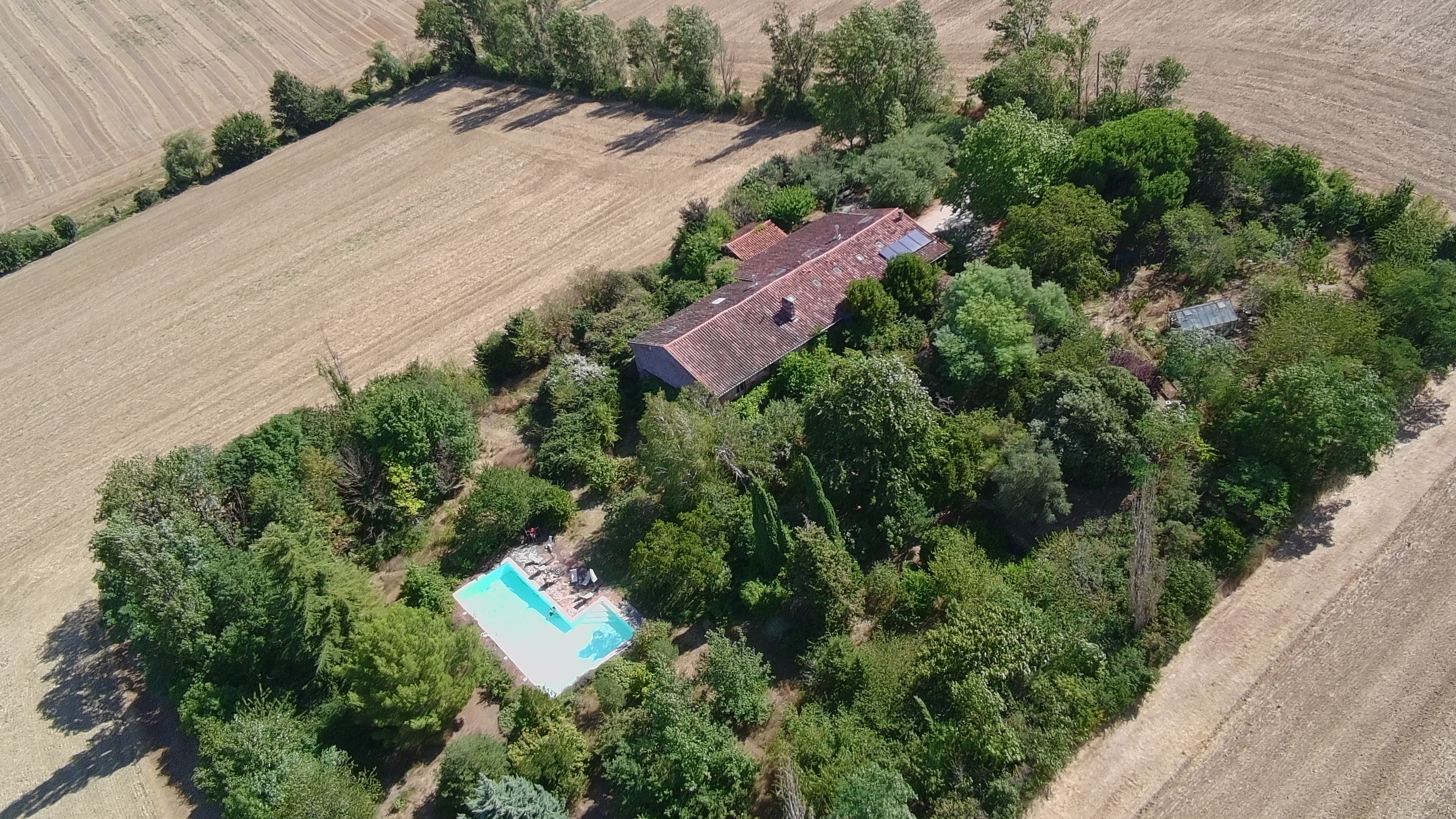 Une oasis natyre au milieu des champs