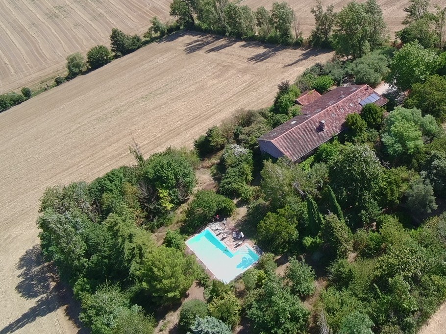 Une oasis natyre au milieu des champs