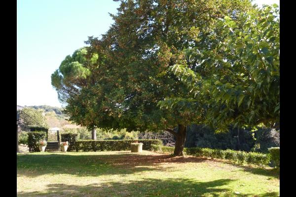 Photo n° 15 of the location