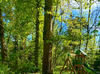Aire du jeux