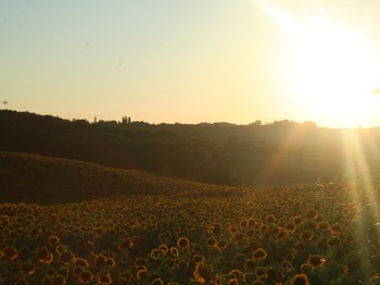 Photo n° 11 de la location