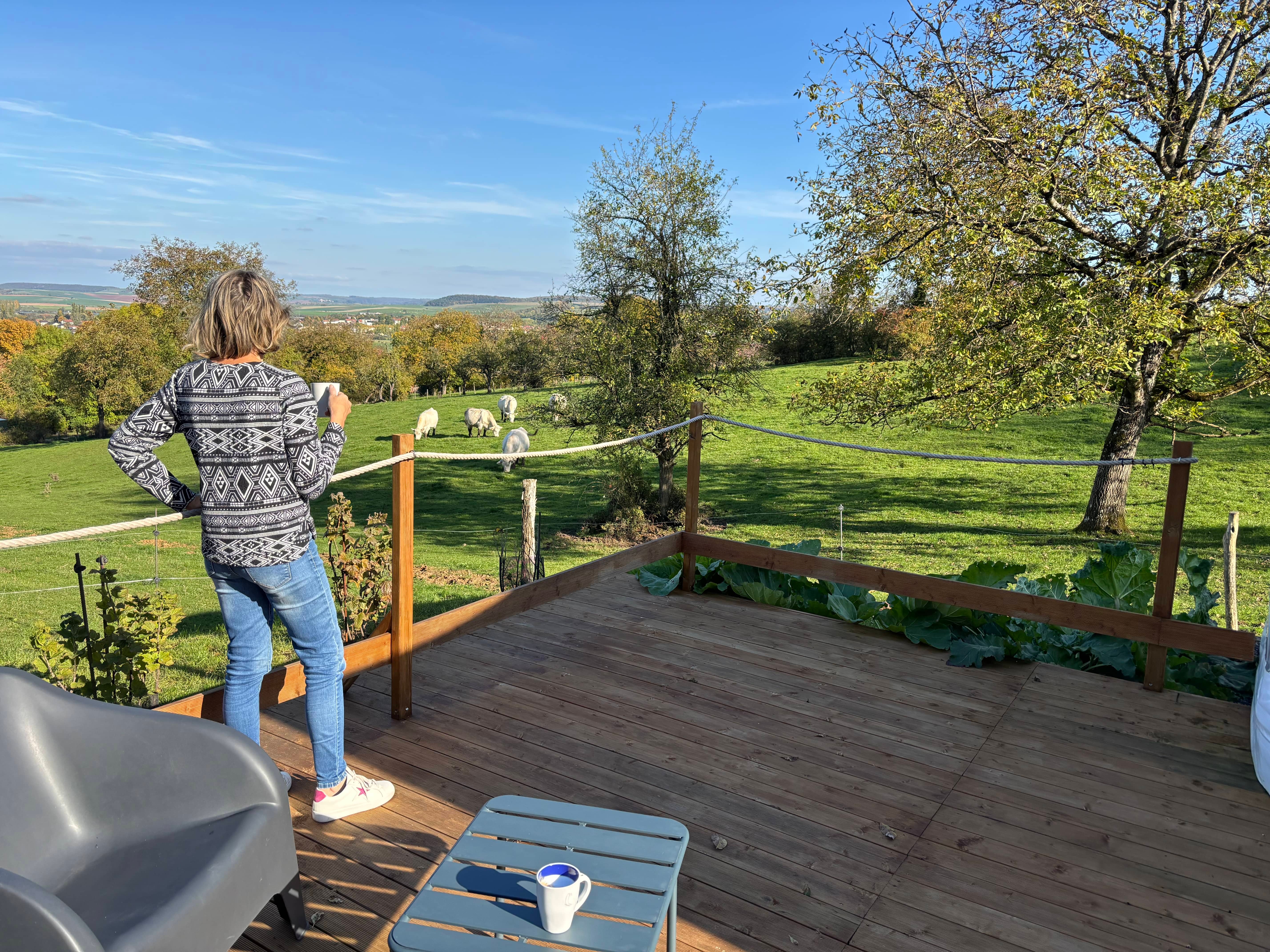 Photo n° 11 de la location