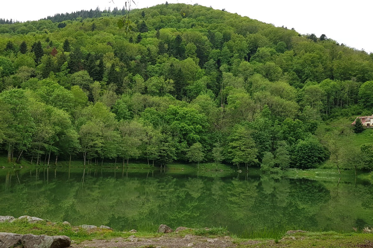 Le lac du Lachtelweiher