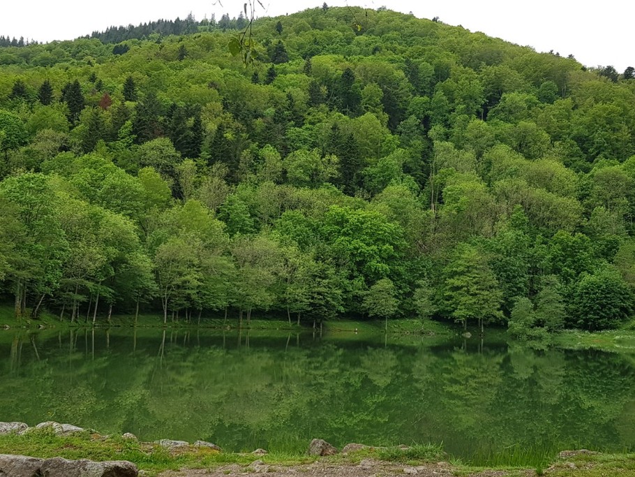 Le lac du Lachtelweiher
