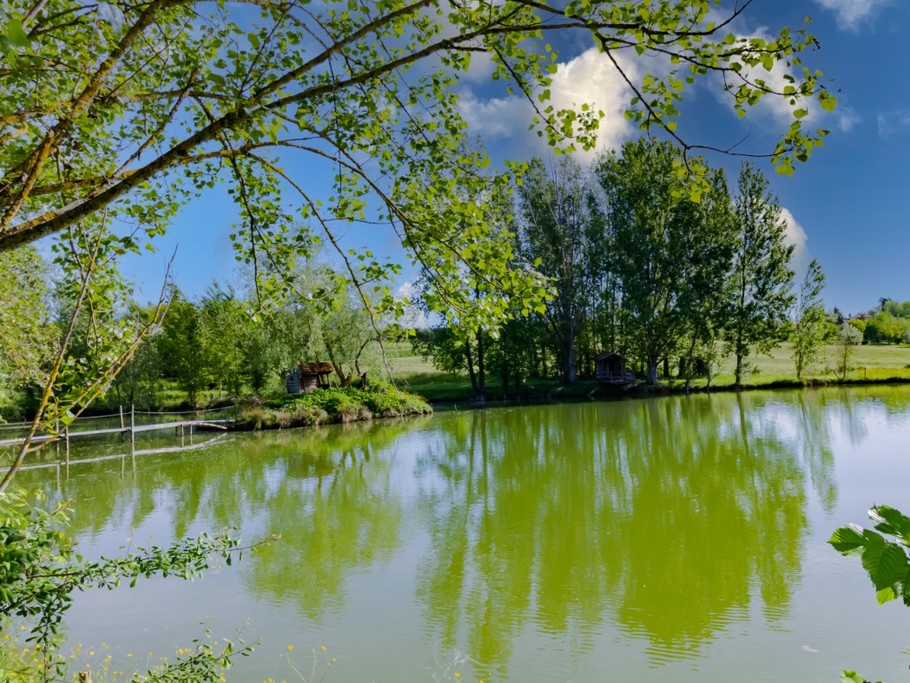 Photo n° 6 of the location