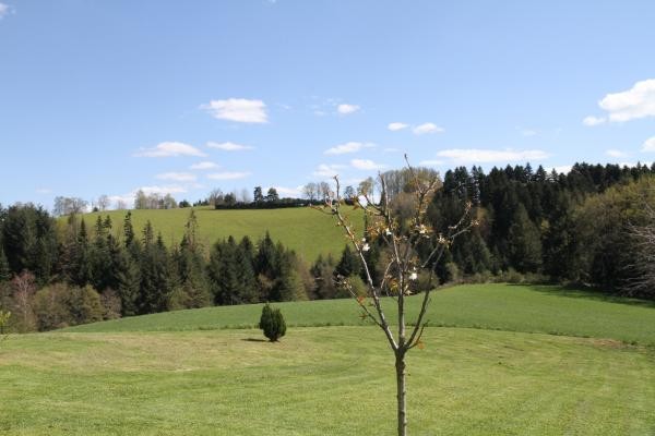 Photo n° 15 de la location