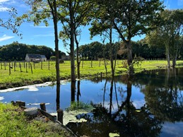 Grande propriété avec un étang, des pâtures à chevaux et moutons
