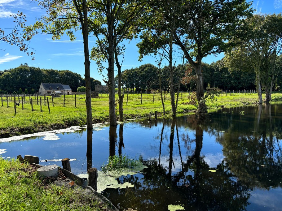 Grande propriété avec un étang, des pâtures à chevaux et moutons
