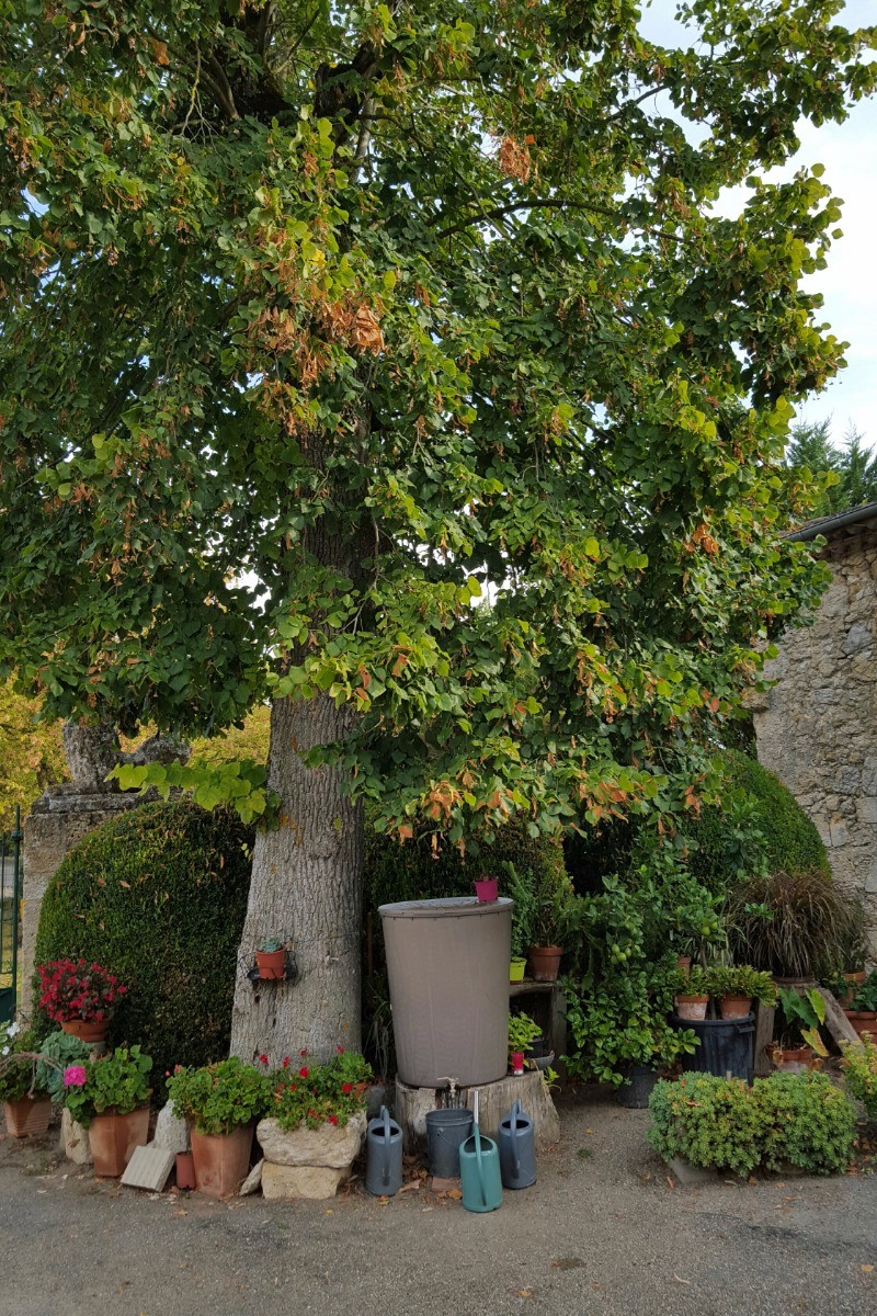 Photo n° 17 of the location