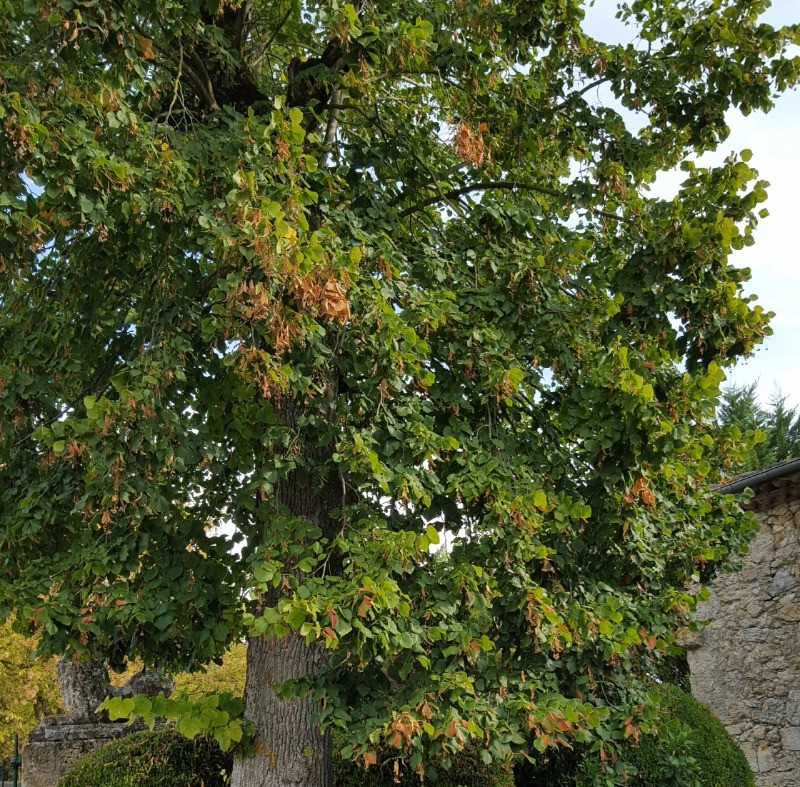 Photo n° 17 of the location