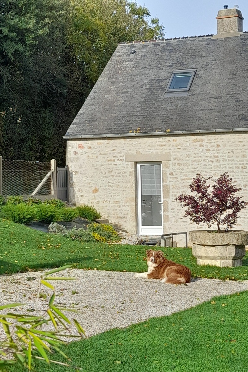 les chiens sont les bienvenus sur un terain clos