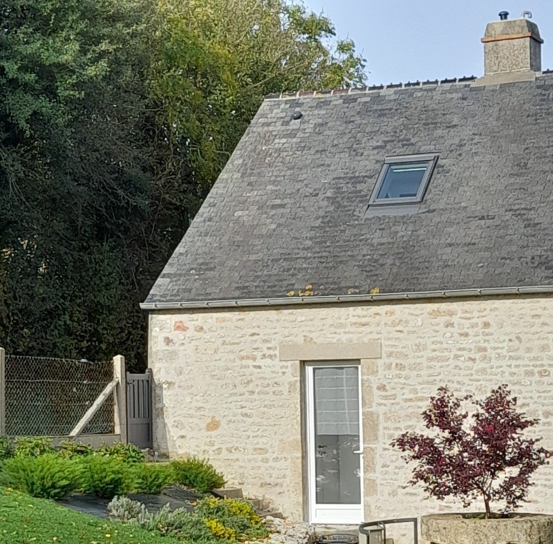 les chiens sont les bienvenus sur un terain clos