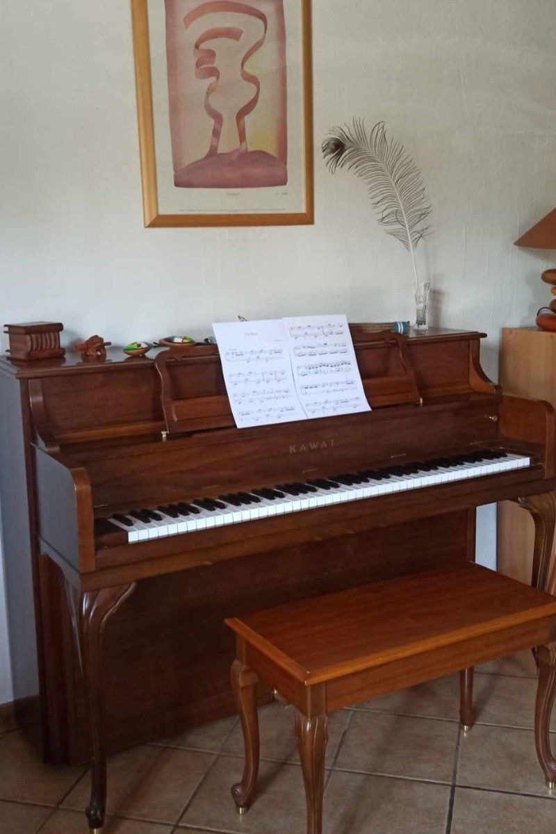 Chambre d'hôtes Ptolémée - Salon commun