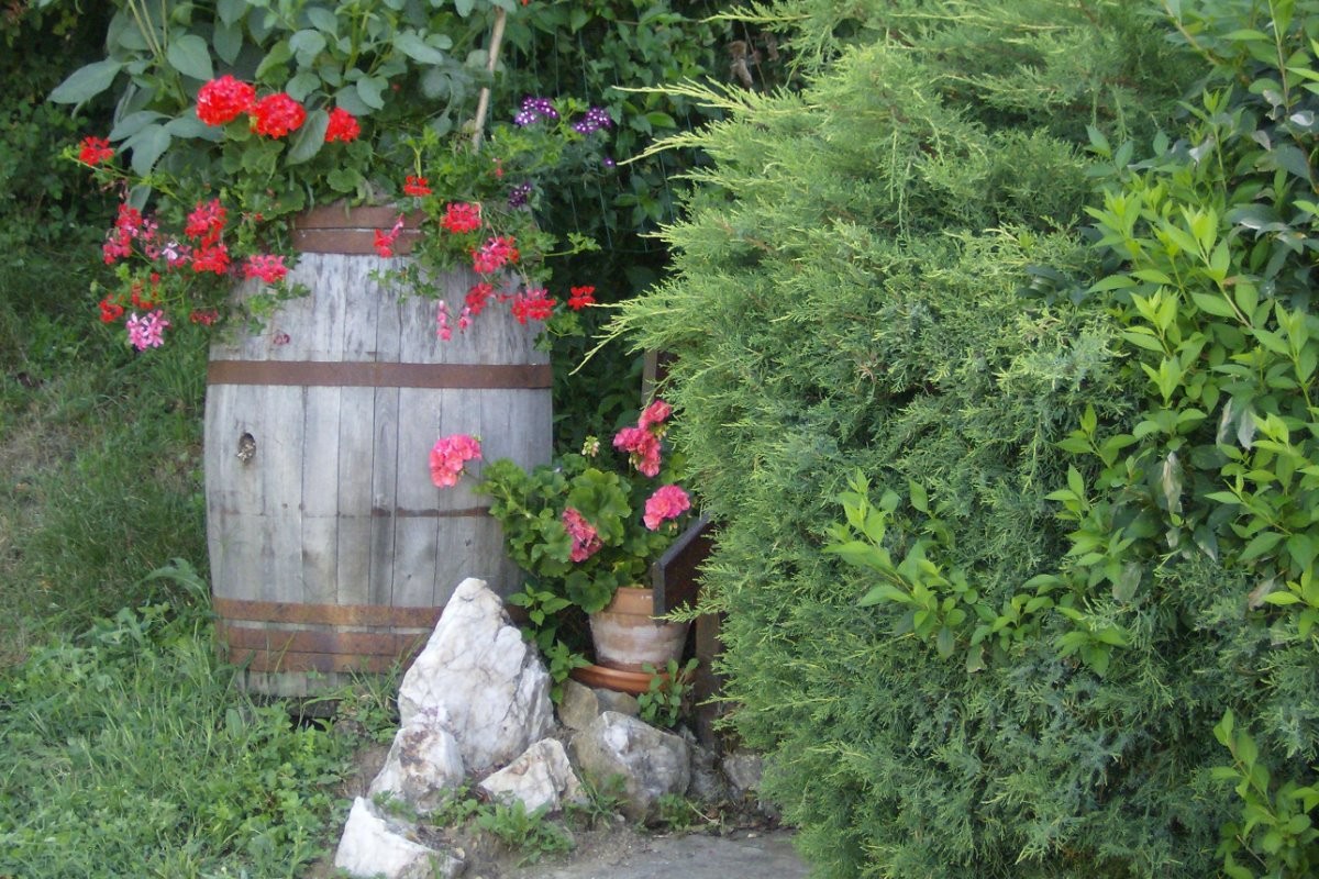 Photo n° 11 of the location