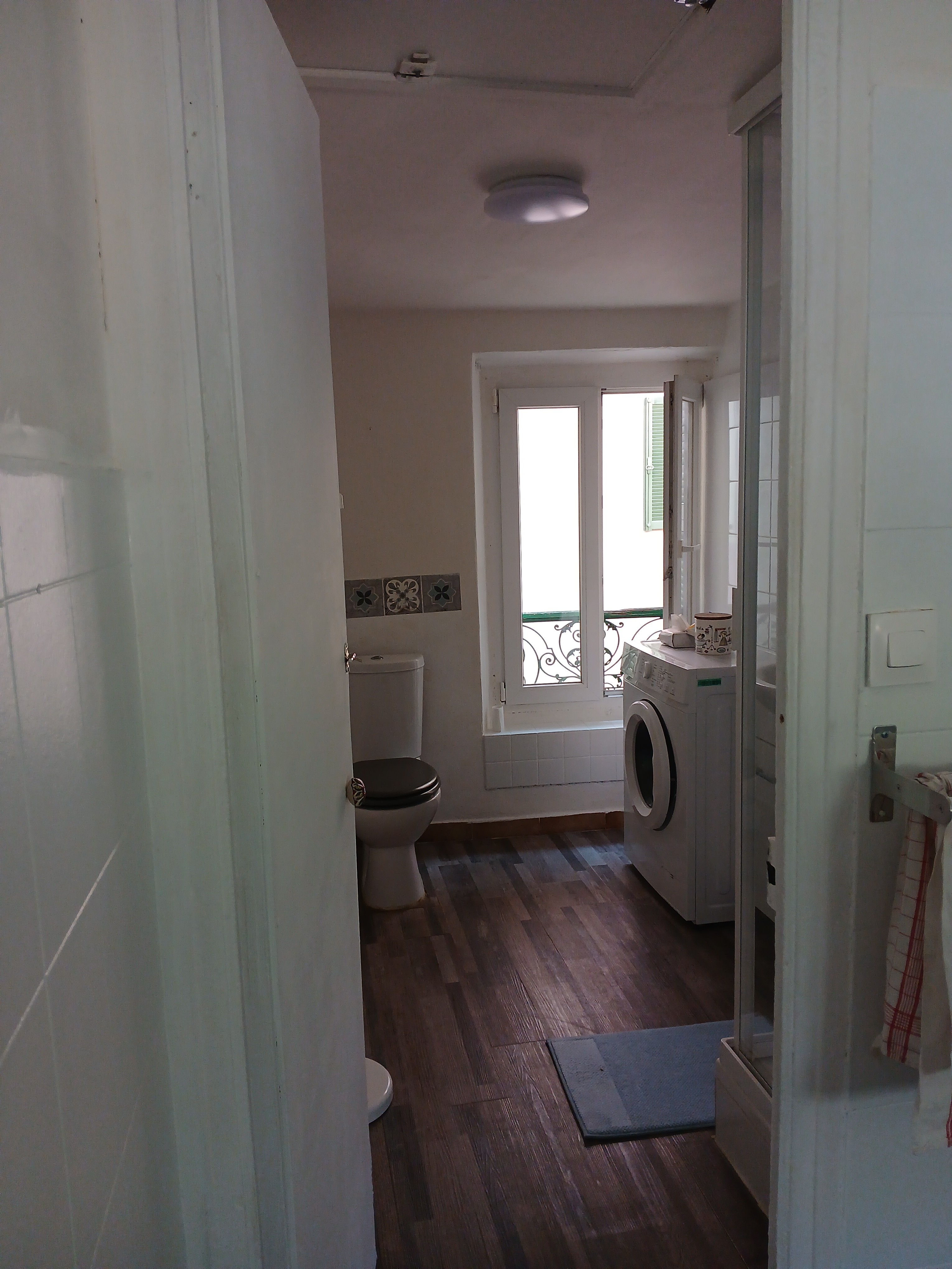 Separate shower room, washing machine and WC