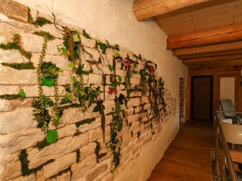 L'Hôtel Enfoncée Chambres et Table d'hôtes Le Val d'Ajol