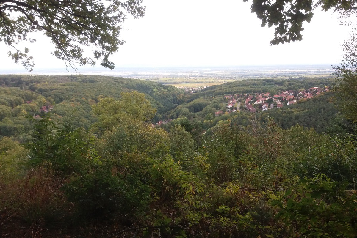 Les Vosges