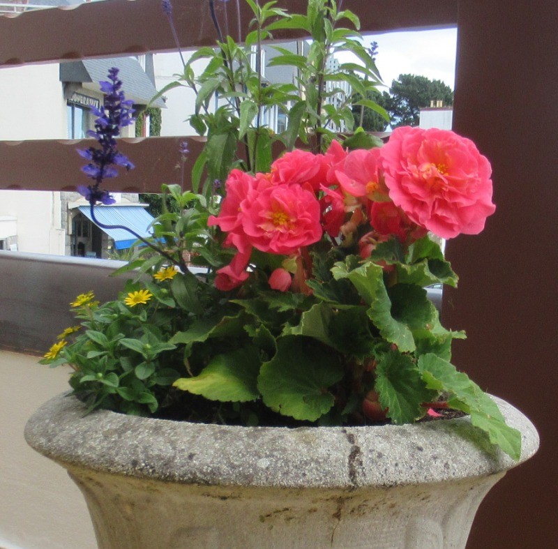 Photo n° 16 of the location