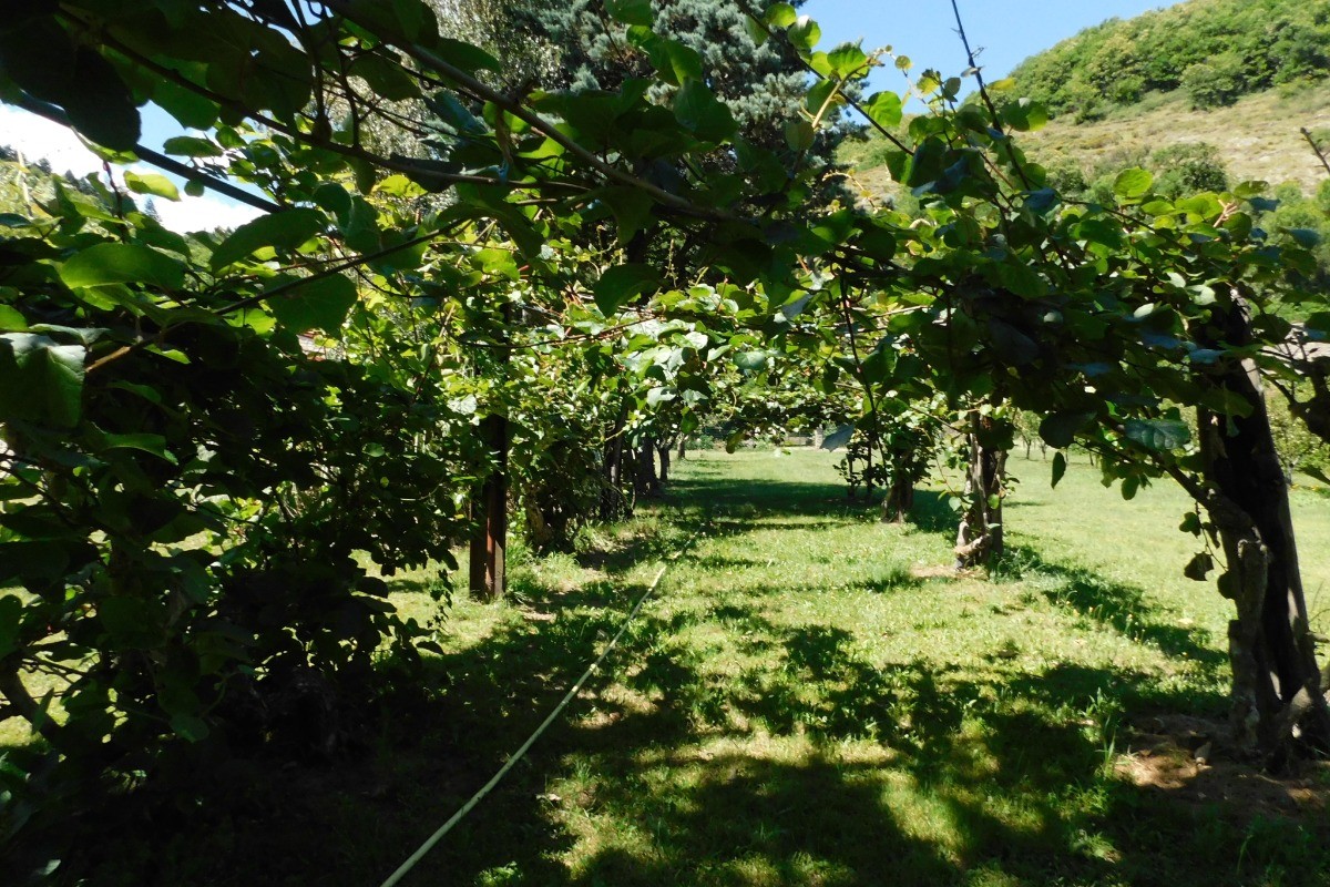 Photo n° 19 de la location