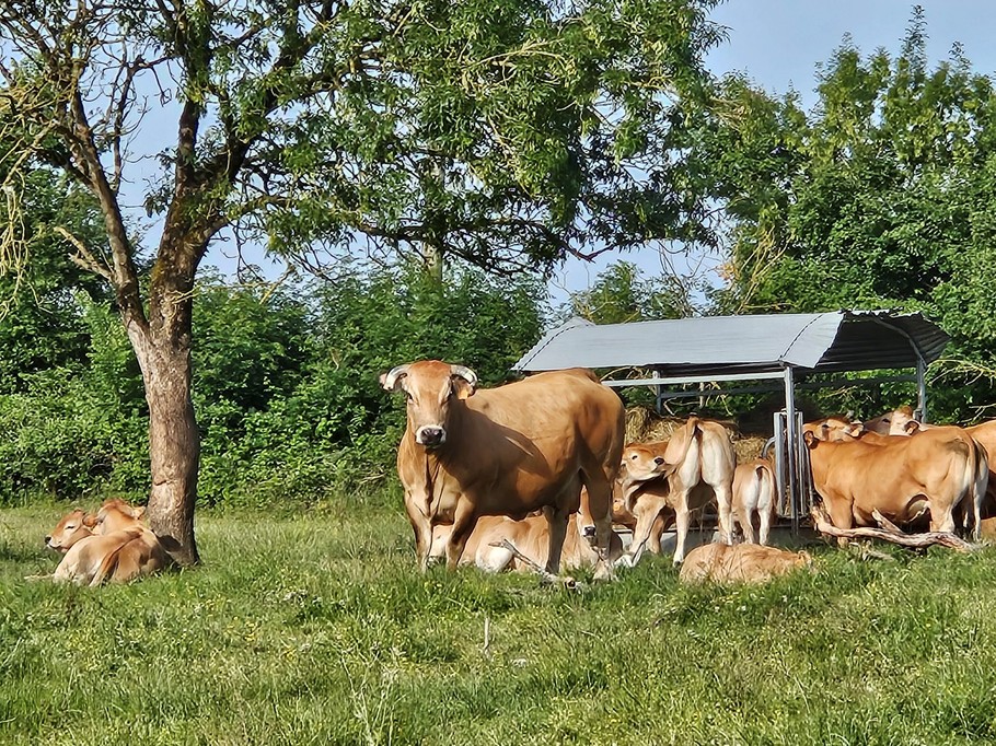 A la campagne aux alentours