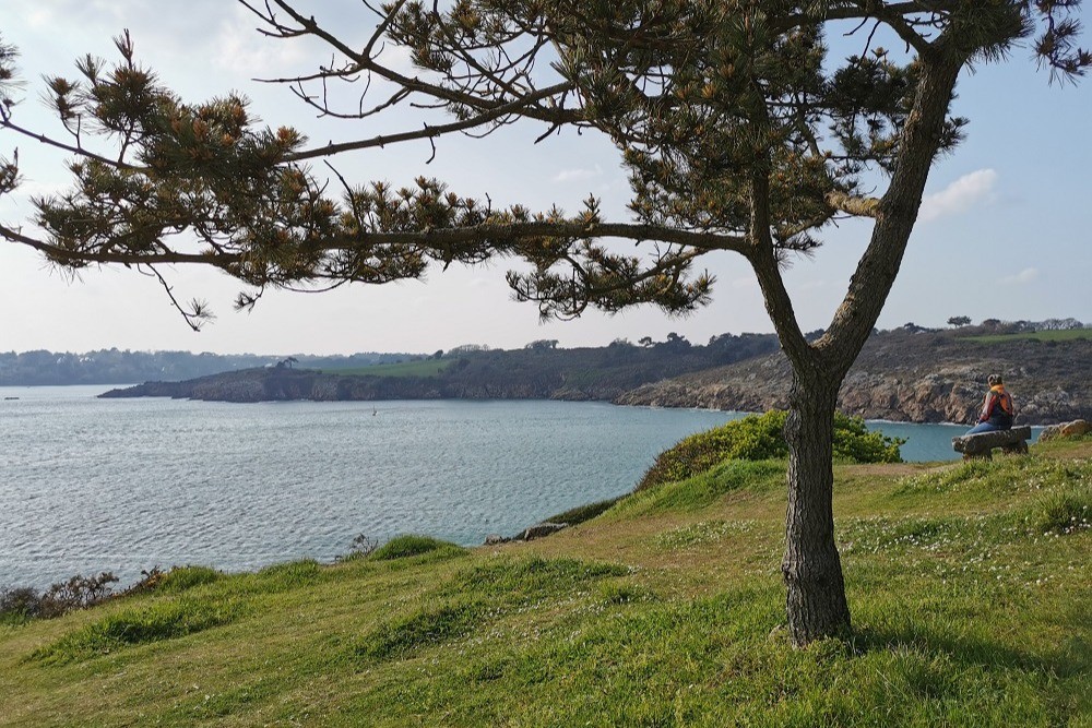 Sur les hauteurs de la plage de kerfanny à Moëlan sur Mer