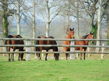 Photo n° 10 of the location