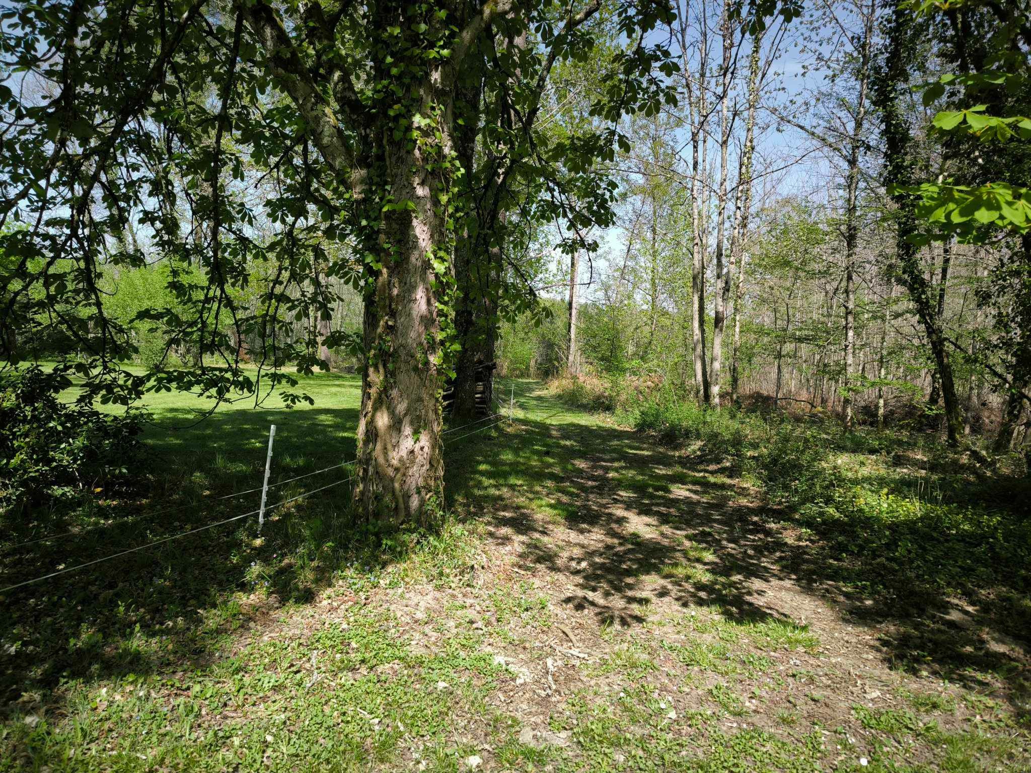 chemin de randonnée