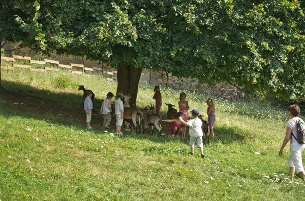 Photo n° 18 of the location