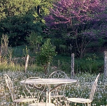 Gîte ABRIEL- espace extérieur