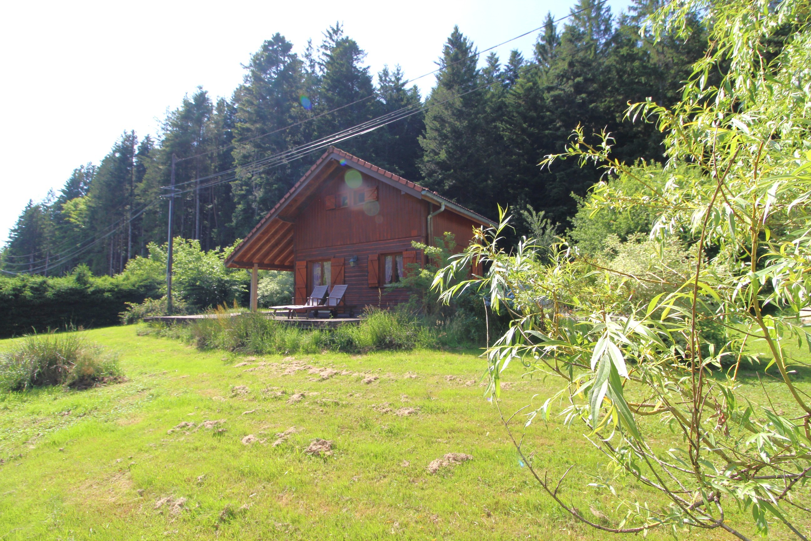 Chalet en bois tout confort aux Rouges-Eaux – Nature, jardin, randonnées Vosges