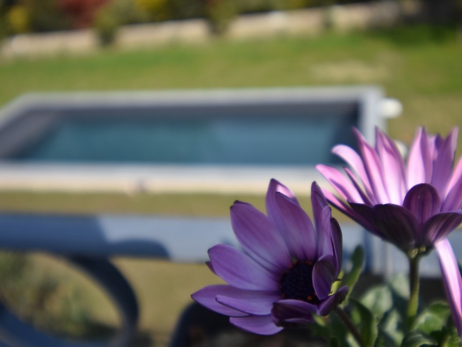 Photo n° 15 de la location