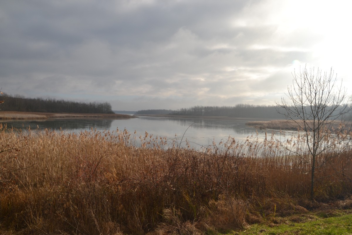 Le lac de Madine en hiver classé Natura 2000
