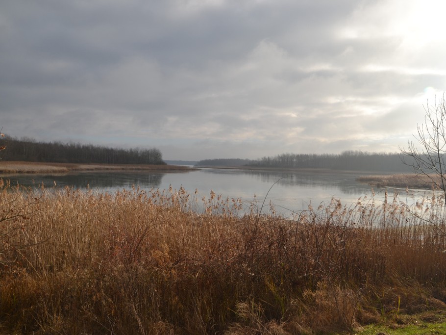 Le lac de Madine en hiver classé Natura 2000