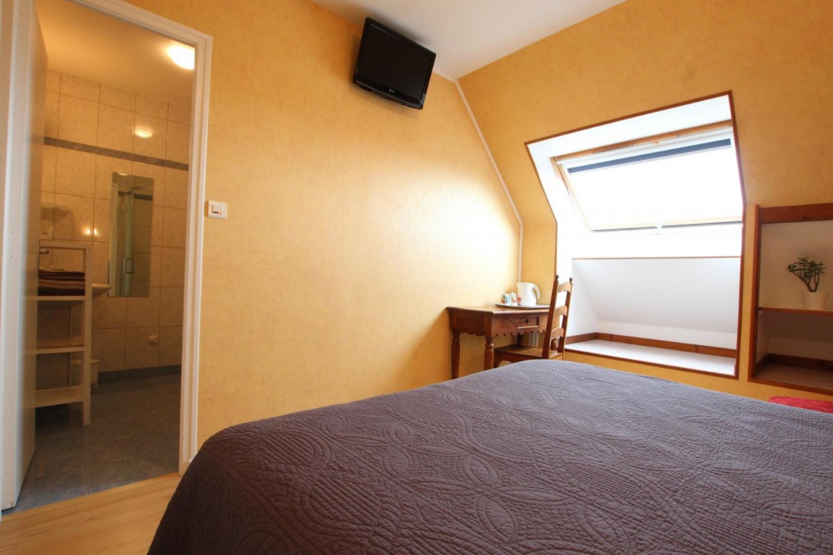 chambre jaune:/ Salle d'eau et wc privé