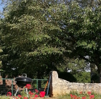 Photo n° 11 de la location